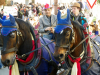 IMGP4863-PS.jpg