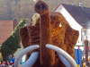 IMGP4960-PS.jpg