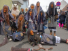 DSC00419-PG