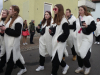 DSC00494-PG