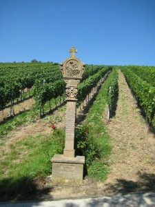 6 Weinberg Moll