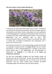 Küchenschellen 2017 FN