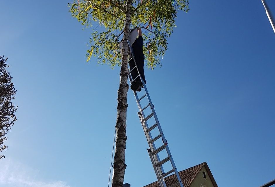 Maibaumfest in Laudenbach