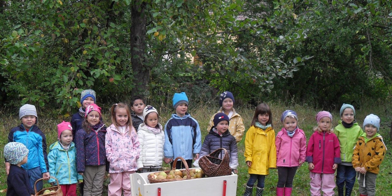 Herbstzeit ist Erntezeit