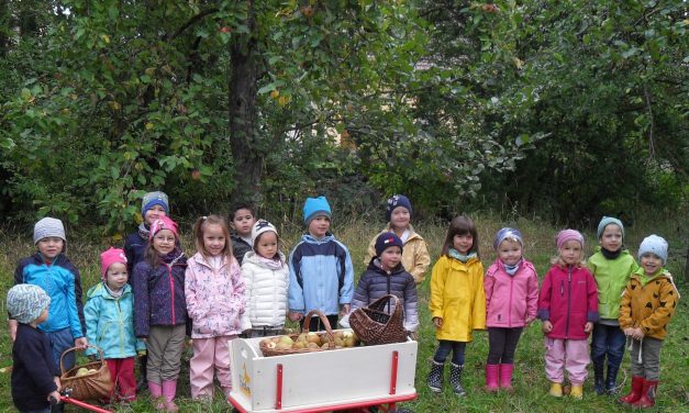 Herbstzeit ist Erntezeit