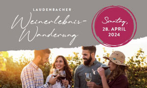 Laudenbacher Weinerlebniswanderung 2024
