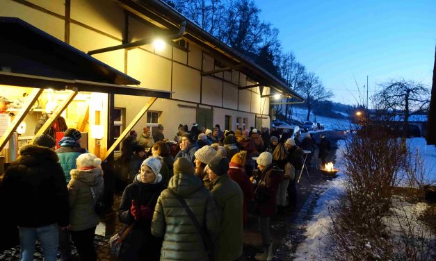 Laudenbacher Glühweinwanderung in den Weinbergen erleben